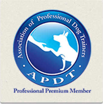 partner-logo-2