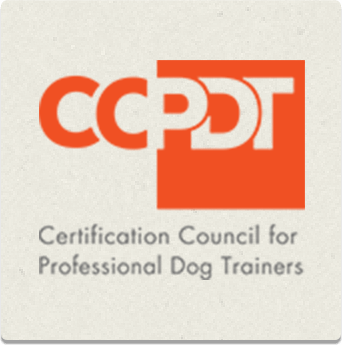 partner-logo-3