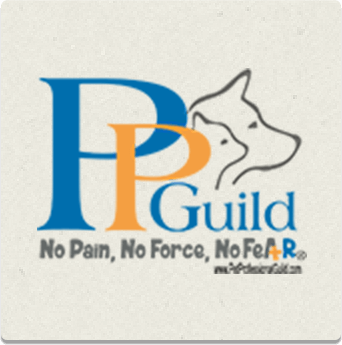 partner-logo-4