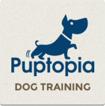 partner-logo-6